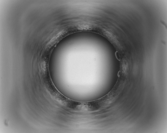 X0000103270211200808291247