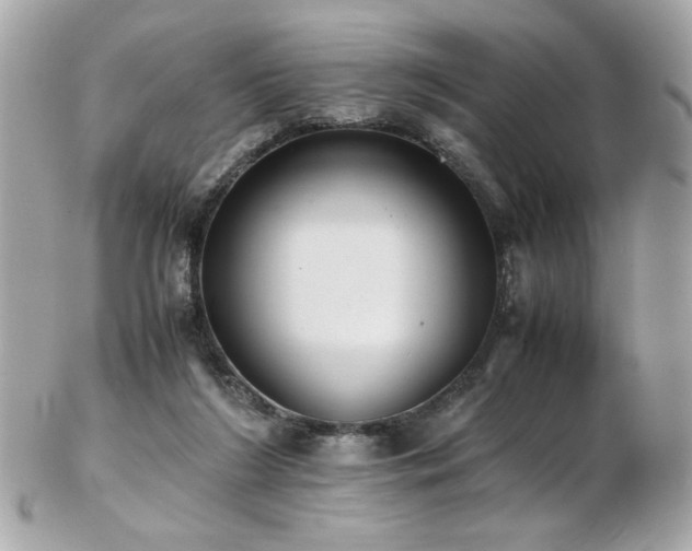 X0000103270212200808291247