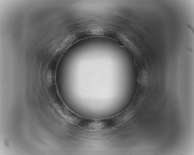 X0000103270213200808291247