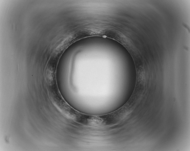 X0000103270215200808291247