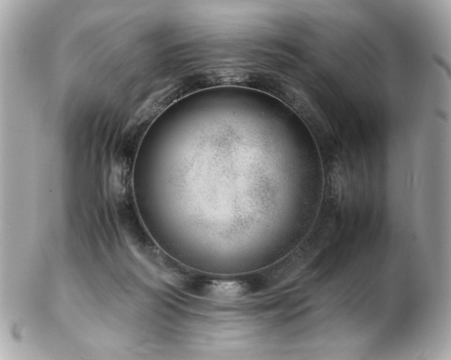 X0000103270218200808291247
