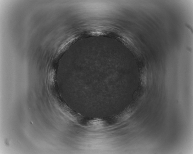 X0000103270219200808291247