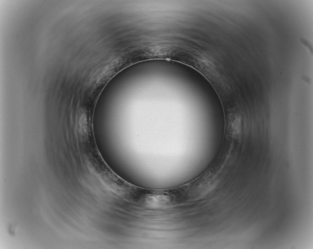 X0000103270220200808291247