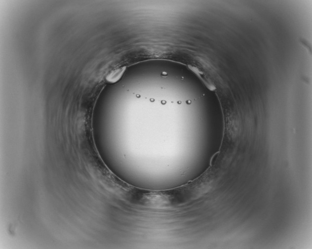 X0000103270221200808291247