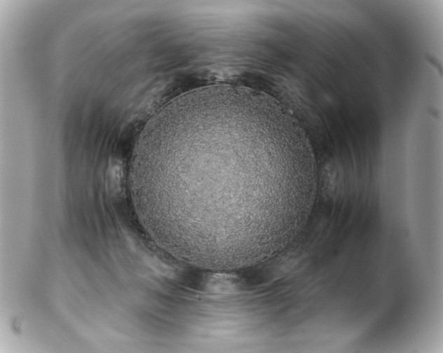 X0000103270222200808291247