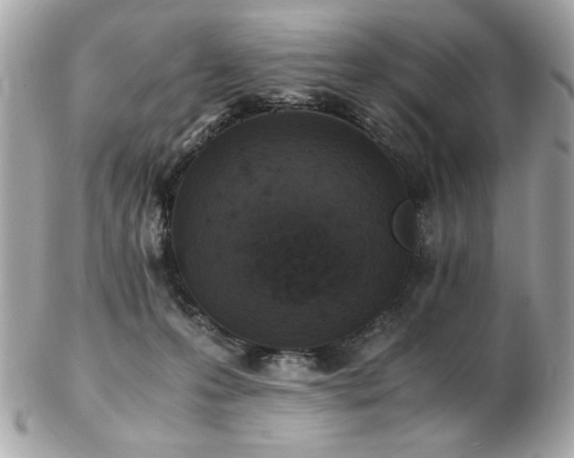 X0000103270223200808291247