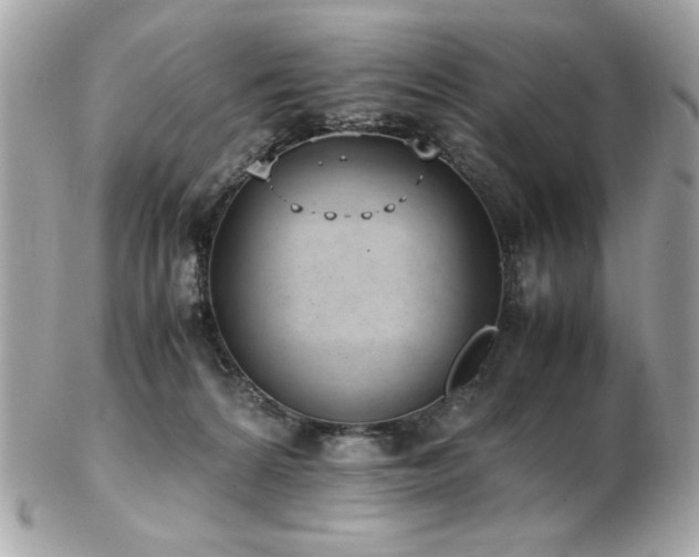 X0000103270224200808291247