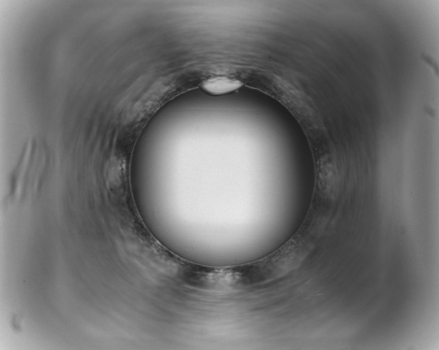 X0000103270225200808291247