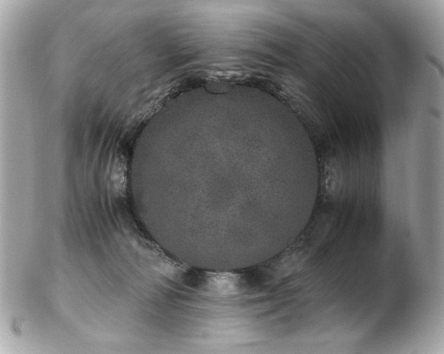 X0000103270226200808291247