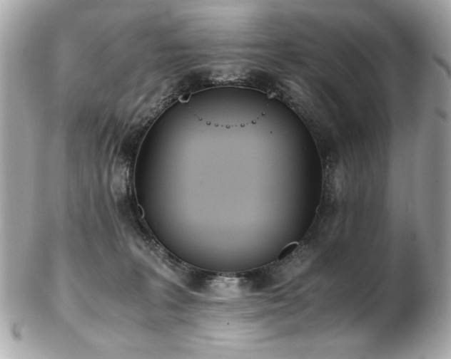 X0000103270227200808291247