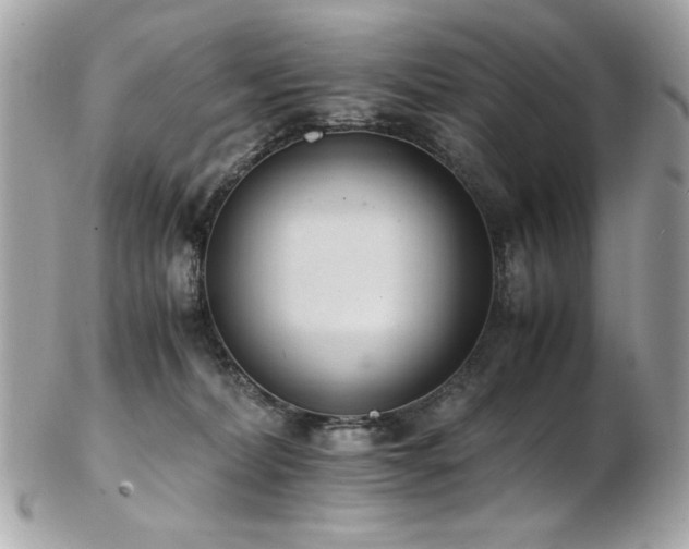X0000103270228200808291247