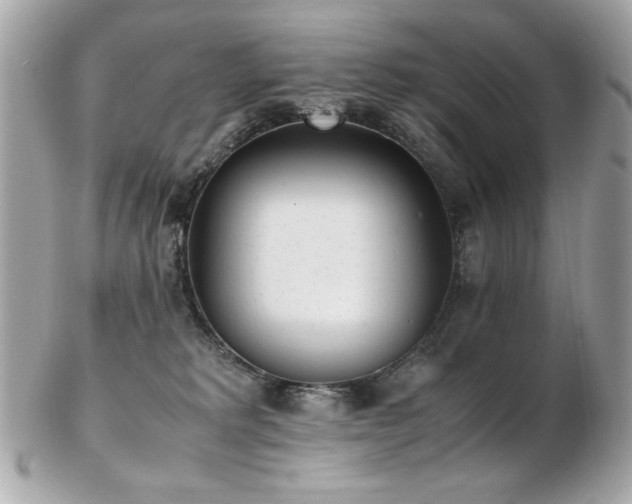 X0000103270229200808291247