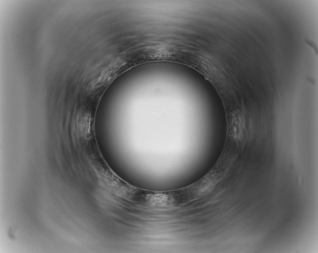 X0000103270230200808291247