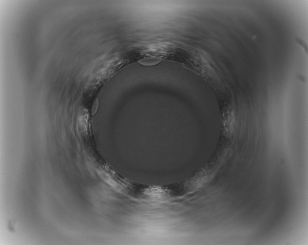 X0000103270231200808291247