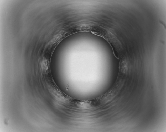 X0000103270232200808291247