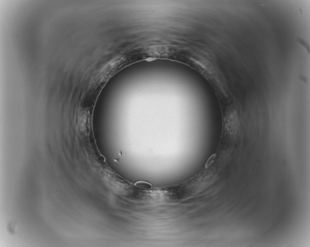 X0000103270233200808291247
