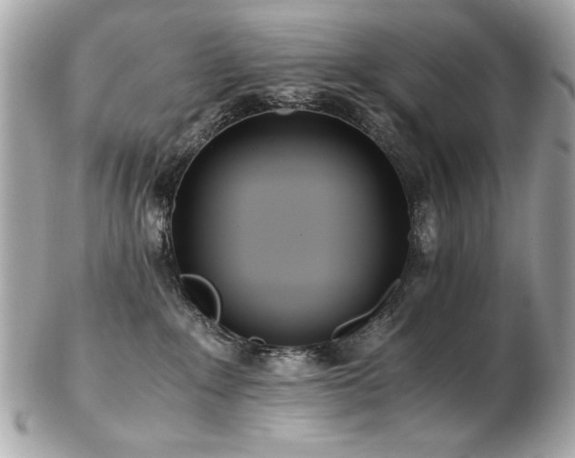 X0000103270235200808291247