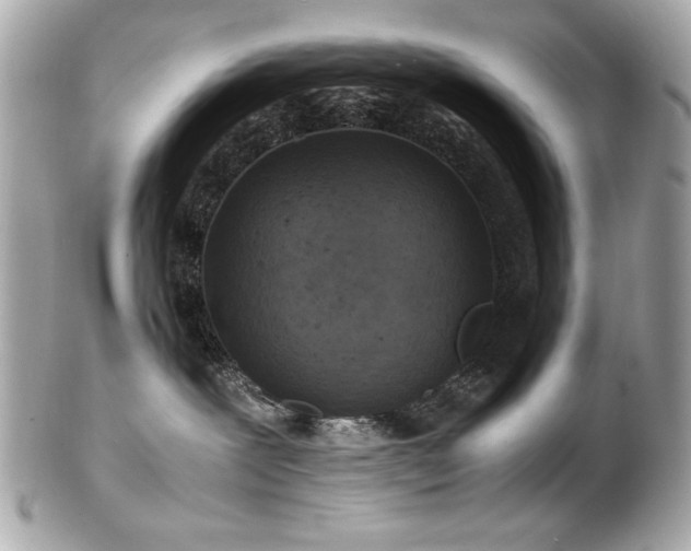 X0000103270239200808291247