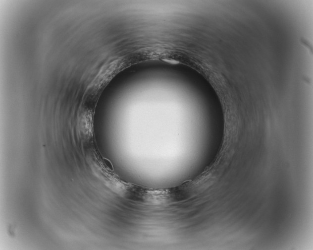 X0000103270240200808291247