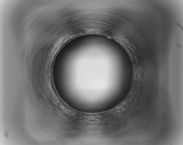 X0000103270241200808291246