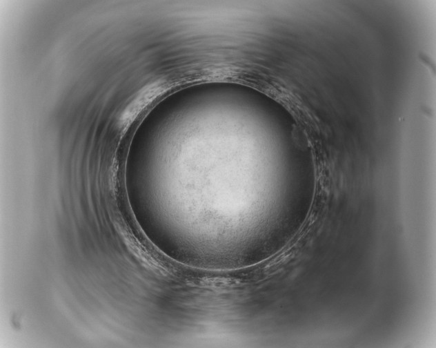 X0000103270242200808291246