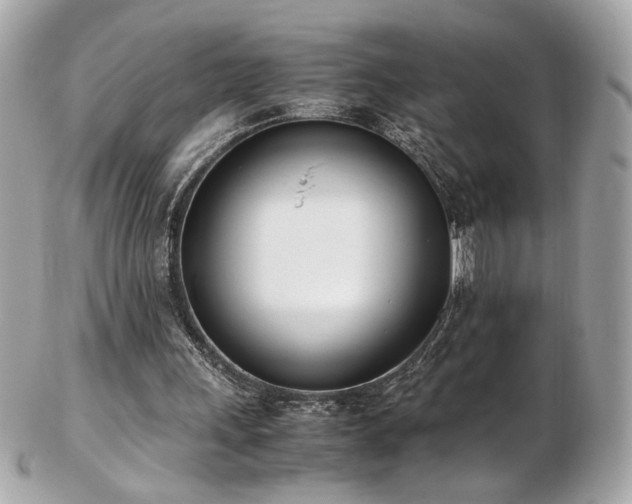 X0000103270243200808291246