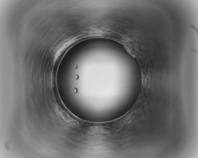 X0000103270244200808291246