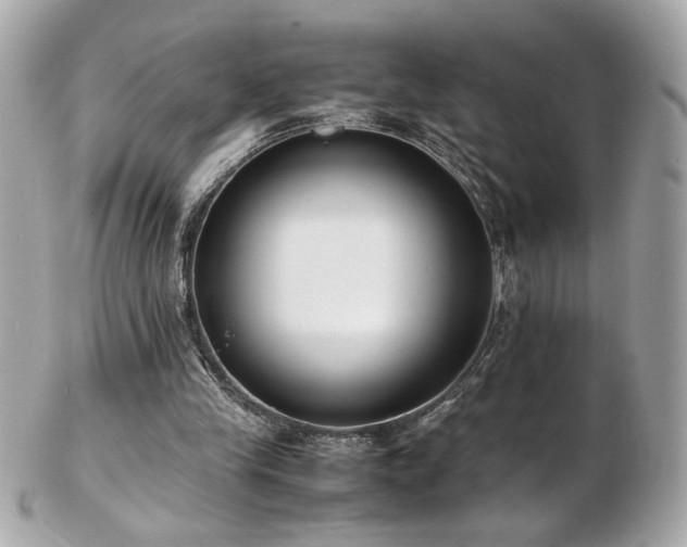 X0000103270245200808291246