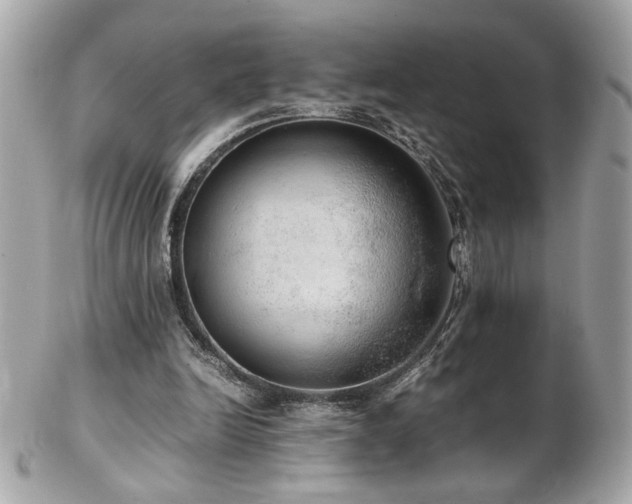 X0000103270246200808291246