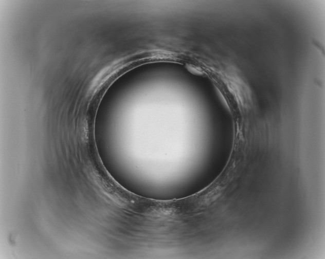 X0000103270247200808291246