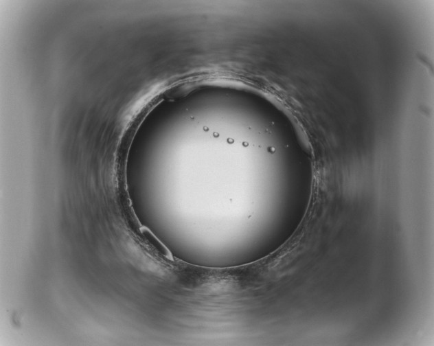 X0000103270248200808291246