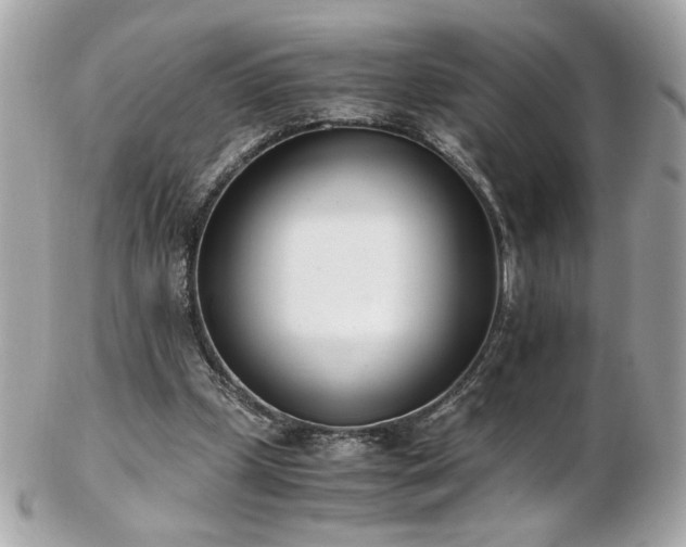 X0000103270249200808291246