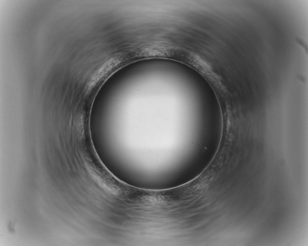 X0000103270250200808291246