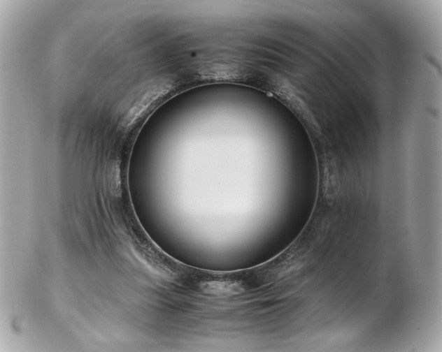 X0000103270251200808291246