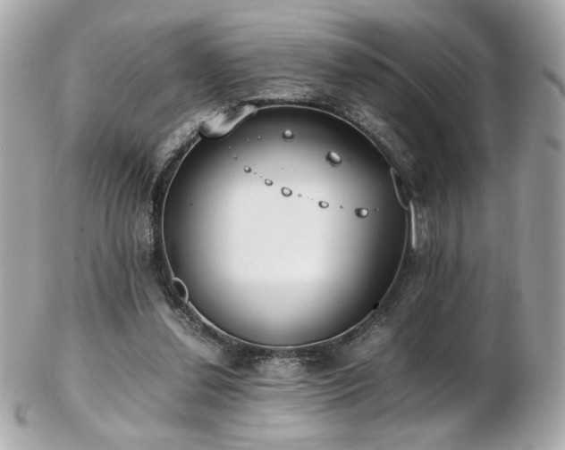 X0000103270252200808291246