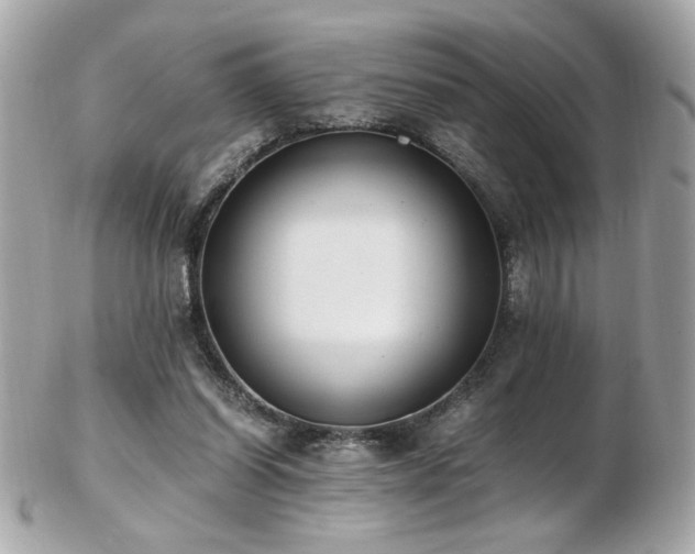 X0000103270254200808291246