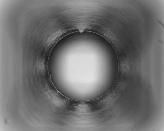 X0000103270256200808291247