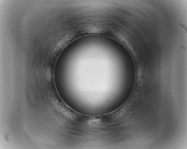 X0000103270257200808291247