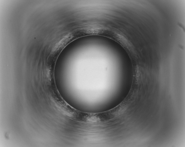 X0000103270258200808291247