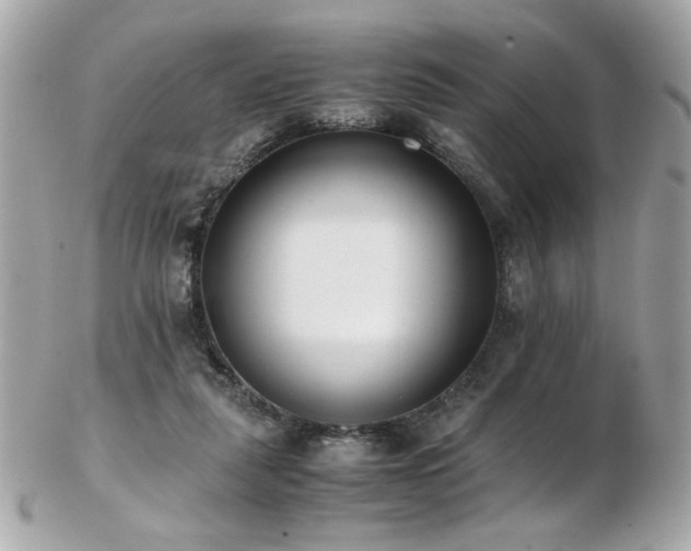 X0000103270259200808291247