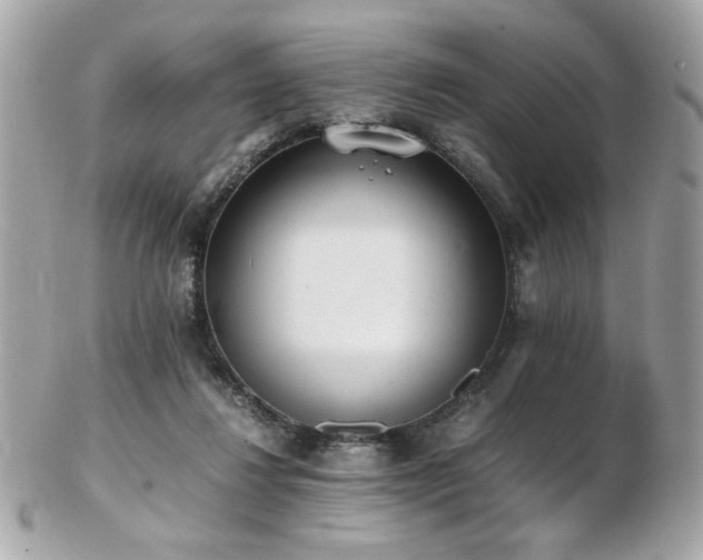 X0000103270260200808291247