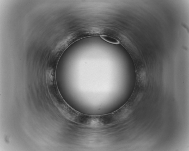 X0000103270264200808291247