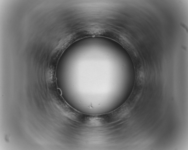 X0000103270268200808291247
