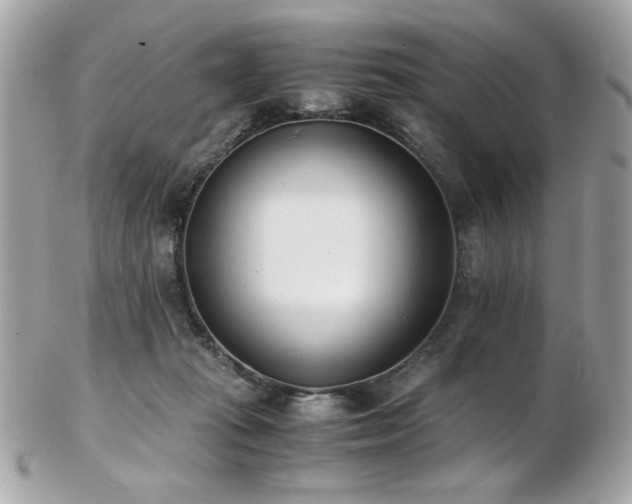 X0000103270269200808291247