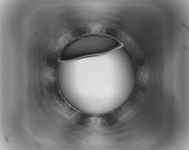 X0000103270272200808291247