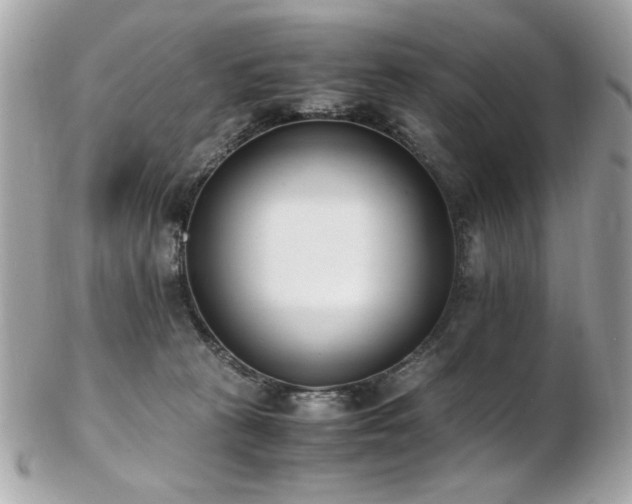 X0000103270273200808291247