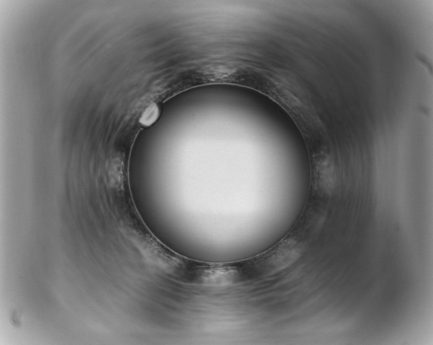 X0000103270274200808291247
