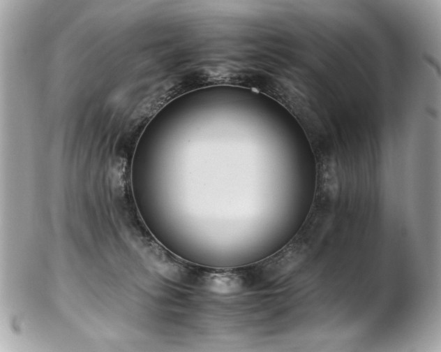 X0000103270275200808291247