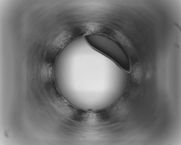 X0000103270276200808291247