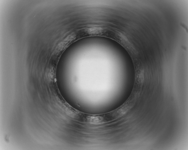 X0000103270277200808291247